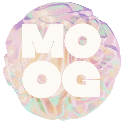 moog merch